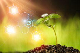 2024/06/unleashing-the-potential-of-nanotechnology-in-agriculture.jpg