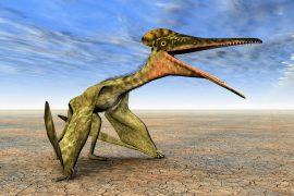 2024/09/Pterosaur-flight.jpg