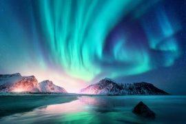 2024/09/Polar-light-biodiversity.jpg