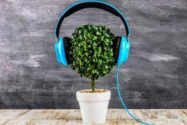 2024/10/Music-plants.jpg