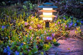 2024/11/Honeybees-artificial-light.jpg