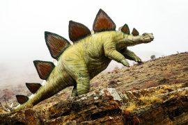 2024/11/dinosaur-evolution_stegosaurus_silesaurids_1m.jpg