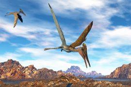 pterodactylus_flying_lake_sunset_1m.jpg