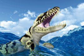 2025/05/Marine-predator-extinction.jpg