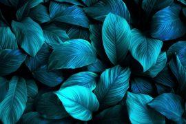 2025/05/Living-glow2.jpg