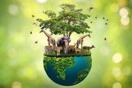 Concept,Nature,Reserve,Conserve,Wildlife,Reserve,Tiger,Deer,Global,Warming