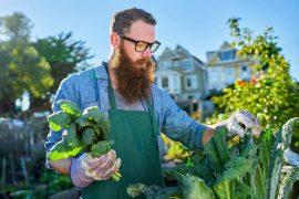 2025/07/Urban-garden.jpg
