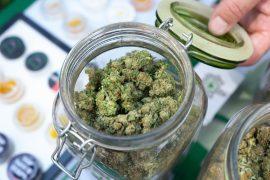 2025/07/cannabis-labels.jpg