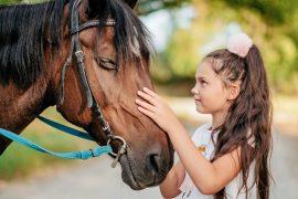 2025/07/Horse-therapy-.jpg