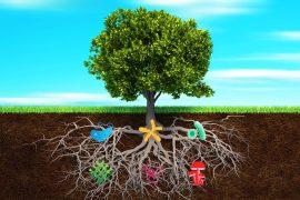 2025/07/plants_roots_microbiomes_FTS_1m.jpg