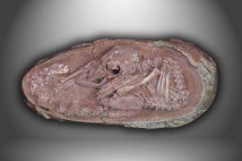 2025/09/baby-dinosaur-embryo-china-egg-fossil.jpg