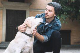 2025/10/Dogs-talk.jpg