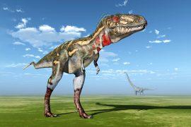 2025/12/Nanotyrannus-dinosaur_not-baby-t-rex_1m.jpg