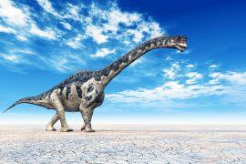 2025/12/dinosaur_sauropod_Athenar-bermani_1m.jpg