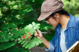 Female,Botanists,Look,At,Flowers,To,Study,The,Changes,Caused