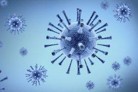 2026/01/Animal-viruses.jpg