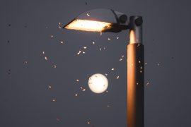 2026/02/Moth-streetlight.jpg