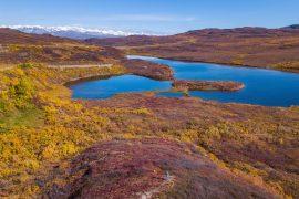 2026/02/Arctic-peatland-carbon.jpg