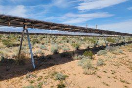 2026/02/rare-nevada-plant-boom-solar-panels.jpg