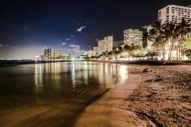 2026/02/city-lights-coastal-species.jpg
