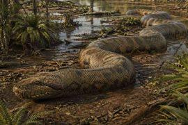 2026/04/giant-snake-fossil-india-vasuki-size.jpg