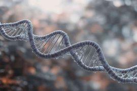 2026/04/tiny-dna-switch-neurons-serotonin-worm.jpg