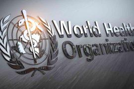 2026/04/who-one-health-pandemic-prevention.jpg