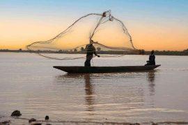 2026/04/ocean-fronts-fish-temperature-barrier.jpg
