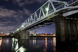 2026/05/Night-light-river-food-webs.jpg