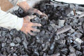 2026/05/ai-biochar-phosphorus-soil-management.jpg