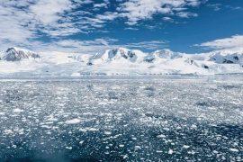 2026/05/invasive-grass-spreading-in-antarctica.jpg