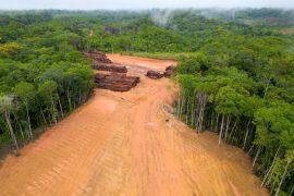2026/05/Amazon-rainfall-decline.jpg