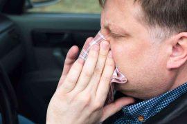 2026/05/high-pollen-fatal-car-crash-risk.jpg