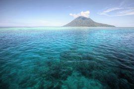 2026/05/coral-reef-disease.jpg
