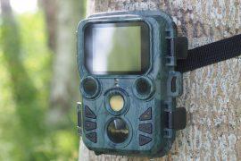 2026/05/AI-wildlife-tracking.jpg