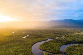 2026/05/Amazon-rainforest-collapse.jpg