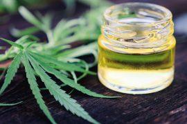 2026/05/Cannabis-use-older-adults.jpg