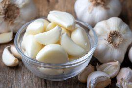 2026/05/garlic-insect-reproduction.jpg