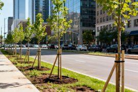 2026/05/City-greening.jpg