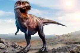 2026/05/T.-Rex-arms.jpg