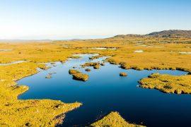 2026/05/Peatland-emissions.jpg