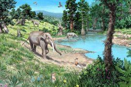 2026/05/ancient-europe-open-forest.jpg