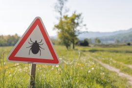 A,Sign,Warns,Of,Tick,Risks,On,A,Path,In