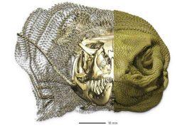 2026/05/lizard-bone-armor-evolution.jpg