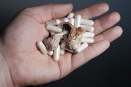 2026/05/psilocybin-pain.jpg