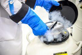Close-up,Scientist,Handling,Sperm,Freezing,Tank,With,Liquid,Nitrogen,In