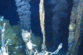 2026/05/deep-sea-mining-ocean-ecosystem-damage.jpg