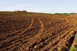 2026/05/black-soil-carbon-loss-climate-warming.jpg