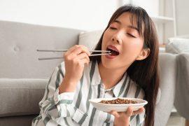 2026/06/insect-based-foods.jpg