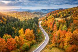 2026/06/shutterstock_2061069569-1.jpg